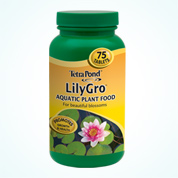 7990_Image LilyGro Tablets.jpg